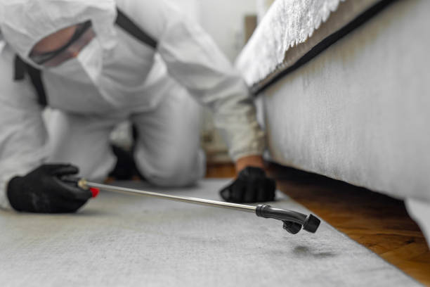 Professional Termite Control technician working in Oakridge, OR