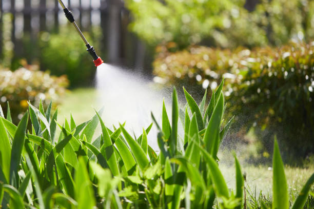 24/7 Emergency Termite Control experts in Oakridge, OR