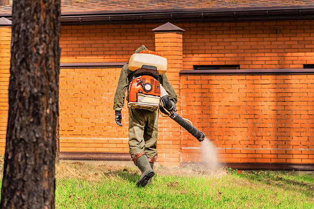 Top rated local Termite Control specialists in Oakridge, OR